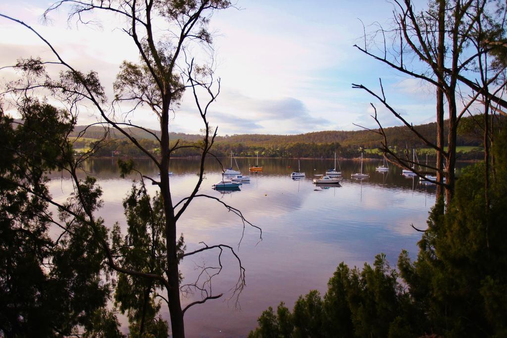 Affittacamere Tranquil Point Cygnet Esterno foto